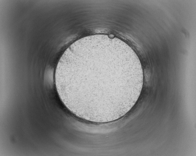 X0000116440028201001051213