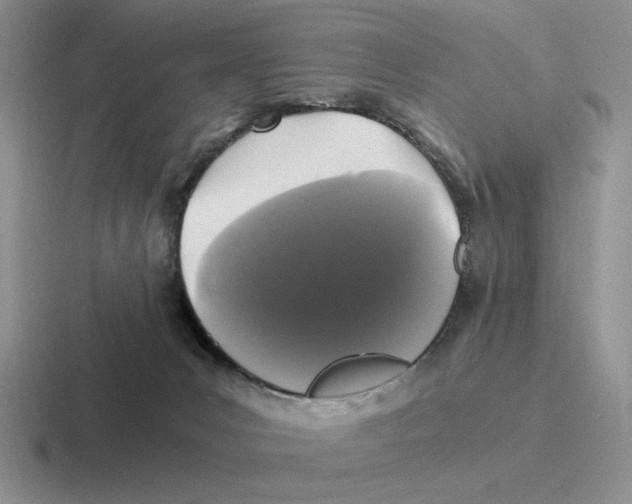 X0000116440031201001051213