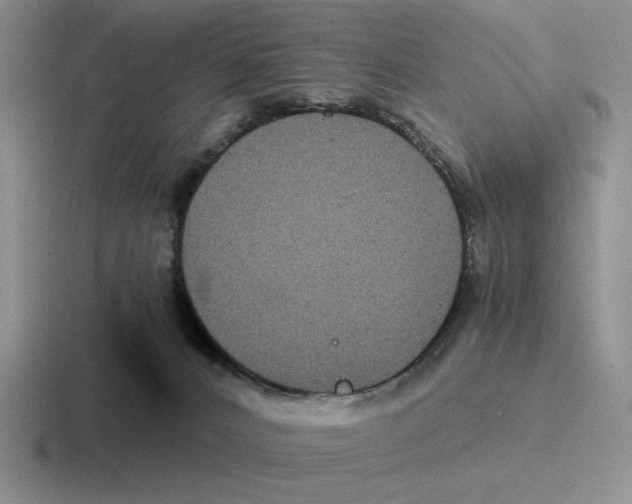 X0000116440032201001051213