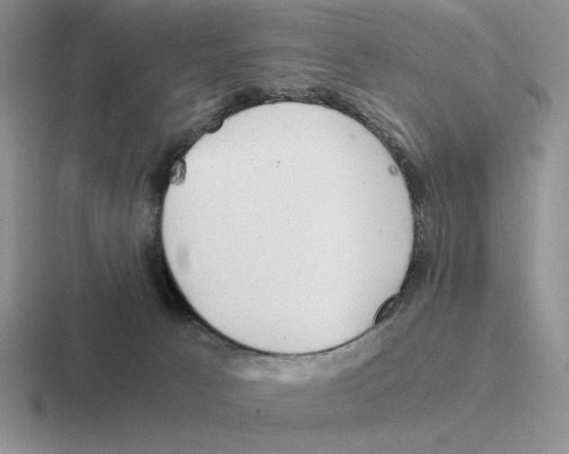 X0000116440033201001051213