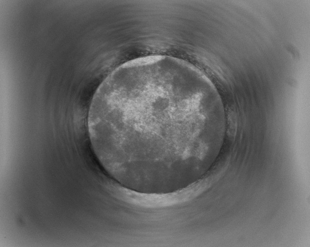 X0000116440034201001051213