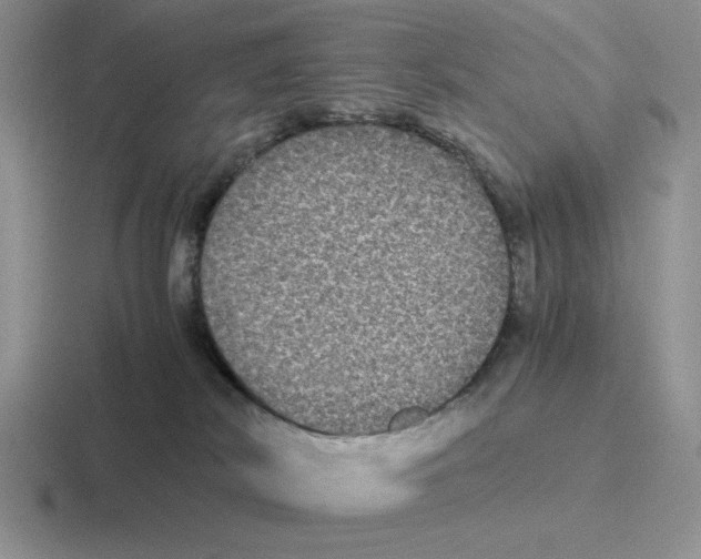 X0000116440038201001051213