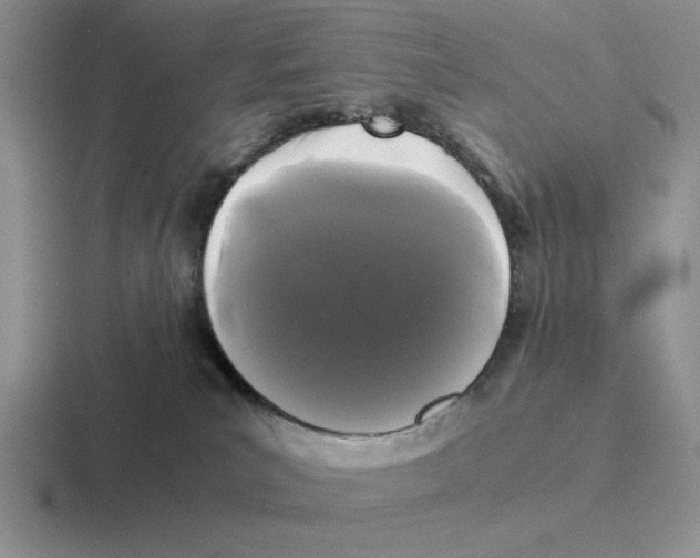 X0000116440039201001051213