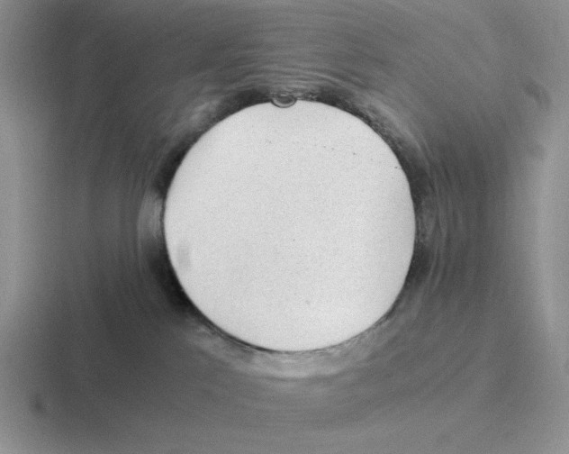 X0000116440041201001051213