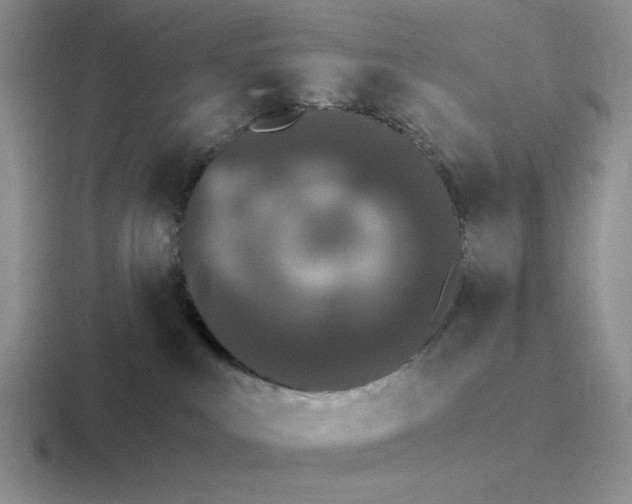 X0000116440043201001051213