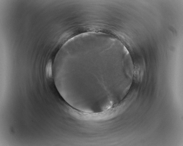 X0000116440046201001051213