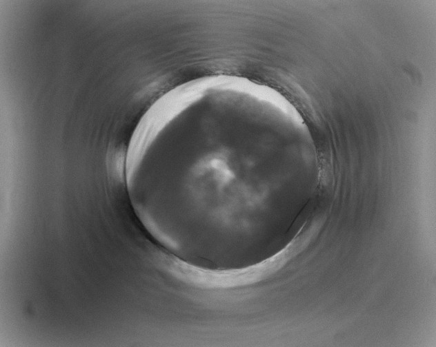 X0000116440047201001051213