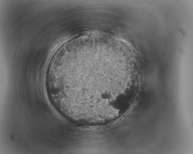 X0000116440049201001051212