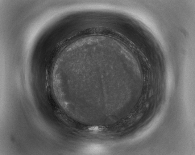 X0000116440050201001051212