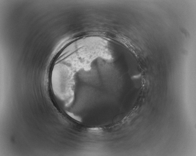 X0000116440053201001051212