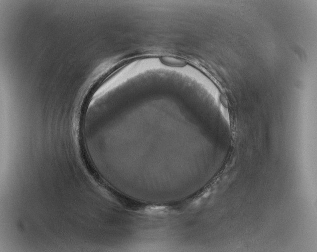 X0000116440055201001051213