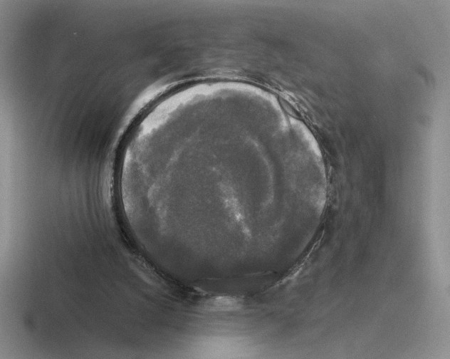 X0000116440056201001051213