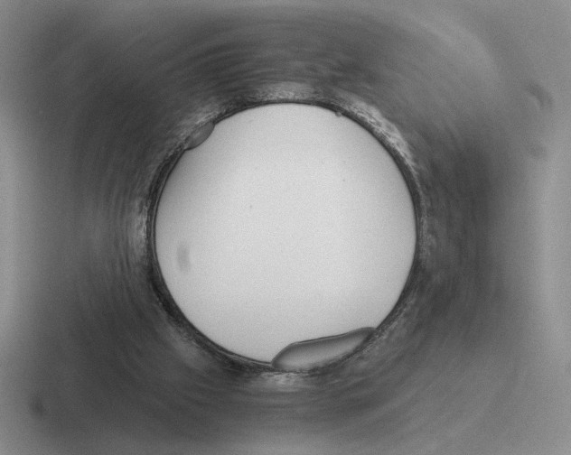 X0000116440057201001051213