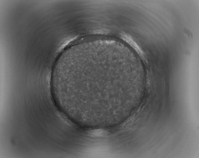 X0000116440058201001051213