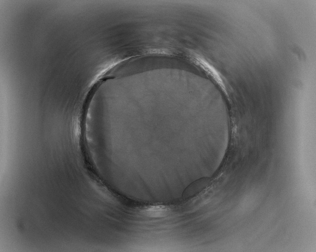 X0000116440059201001051213