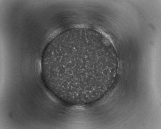 X0000116440061201001051213