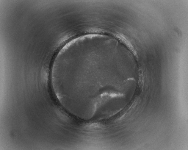 X0000116440063201001051213