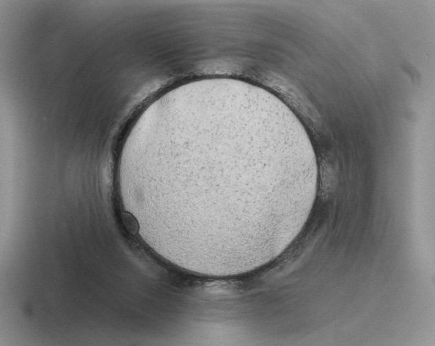 X0000116440064201001051213