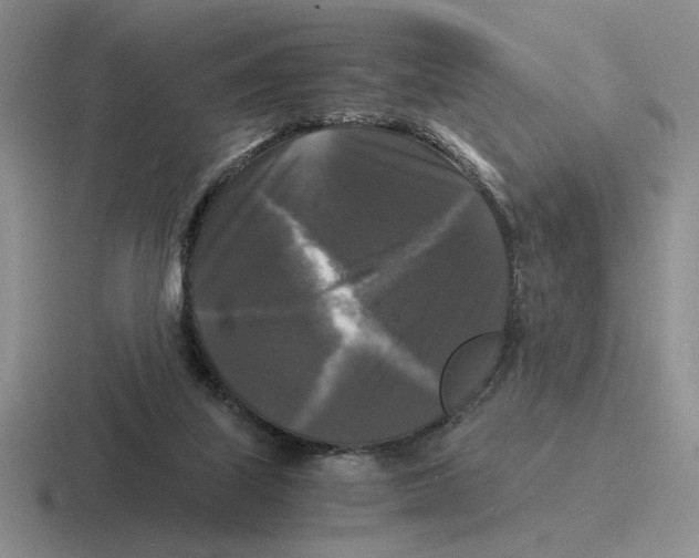 X0000116440067201001051213