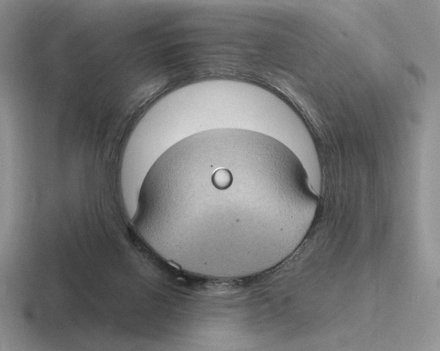 X0000116440070201001051213