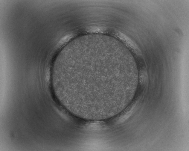 X0000116440072201001051213