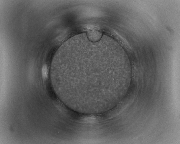 X0000116440075201001051213