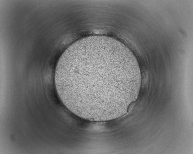 X0000116440078201001051213