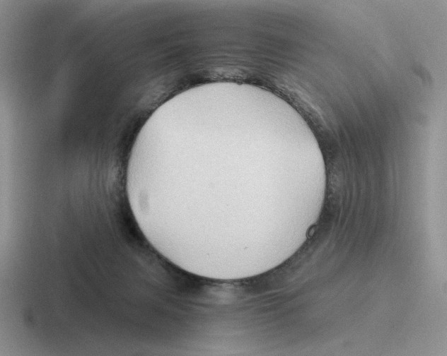 X0000116440079201001051213