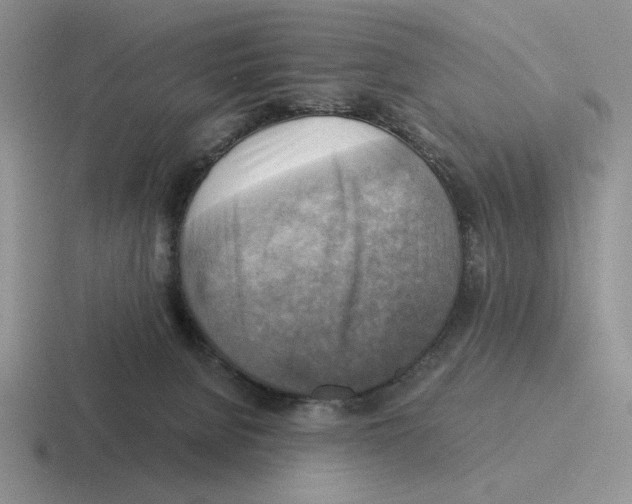 X0000116440080201001051213