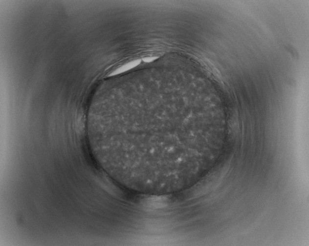 X0000116440081201001051213