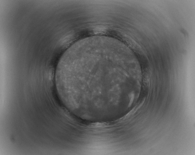 X0000116440082201001051213