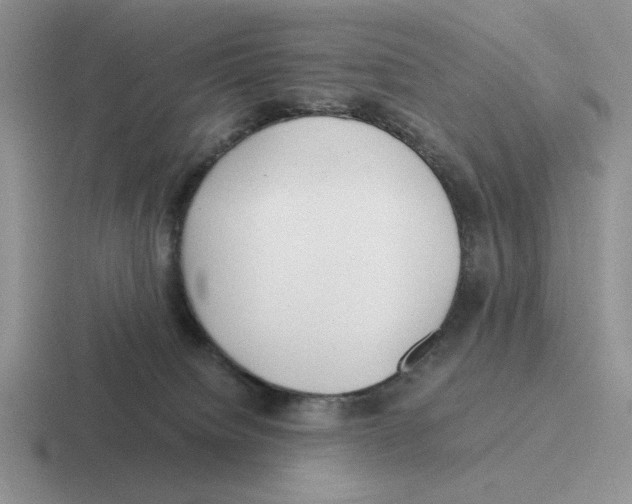 X0000116440084201001051213