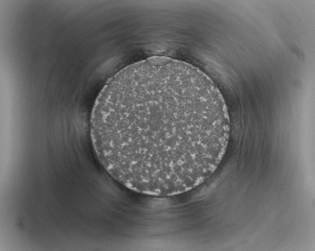 X0000116440085201001051213