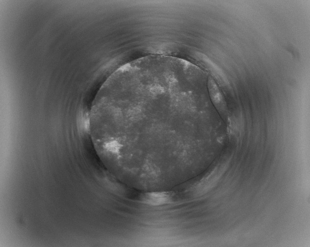 X0000116440095201001051213