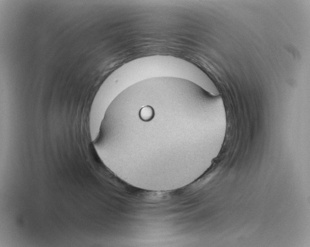 X0000116440096201001051213