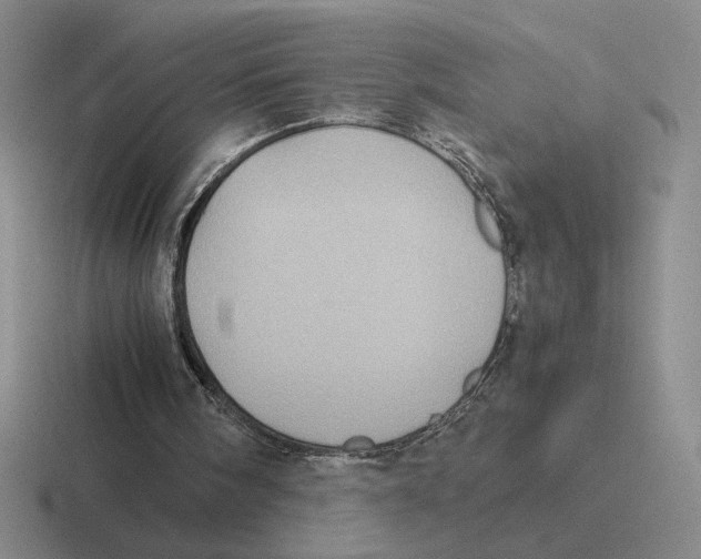 X0000116440098201001051212