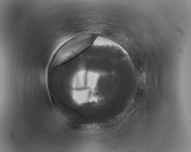 X0000116440100201001051212