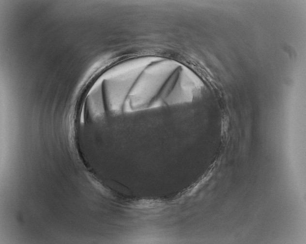 X0000116440101201001051212