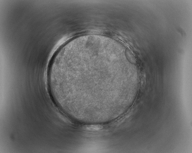 X0000116440102201001051212