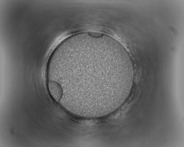 X0000116440103201001051212