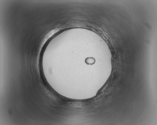 X0000116440104201001051212