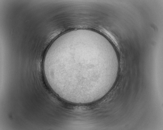 X0000116440105201001051212