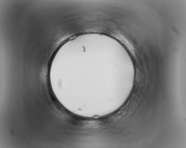 X0000116440107201001051212