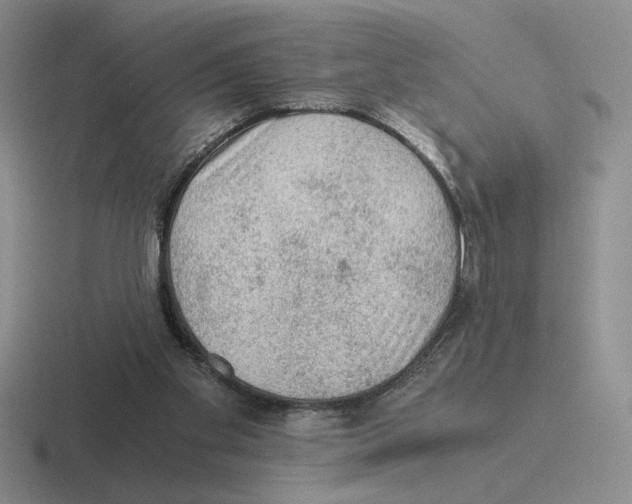 X0000116440109201001051212