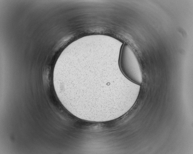 X0000116440116201001051212