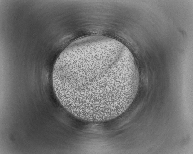 X0000116440117201001051212