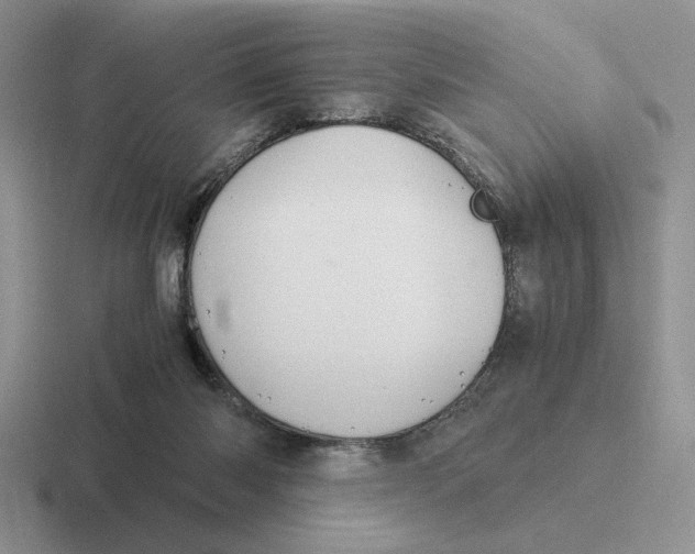 X0000116440118201001051212