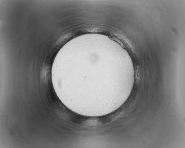 X0000116440119201001051212