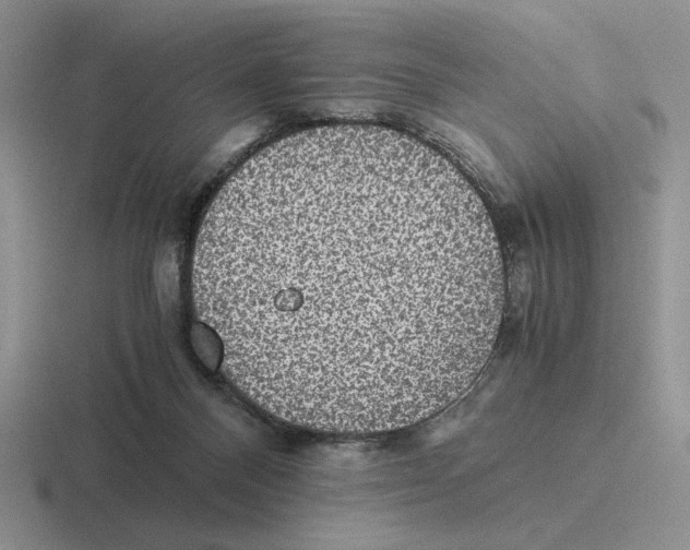 X0000116440120201001051212