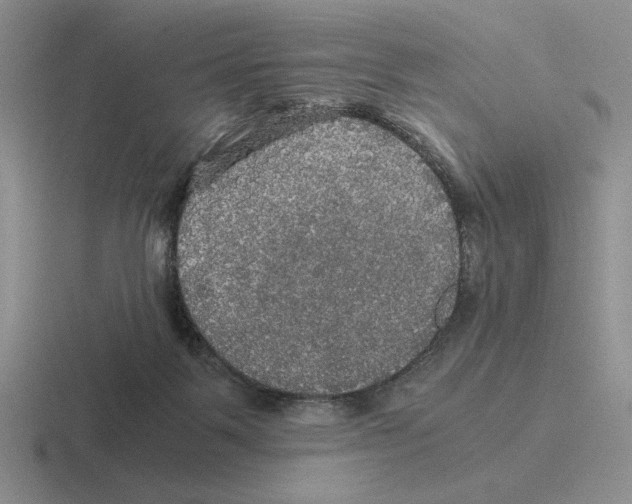 X0000116440123201001051212